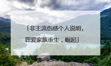 非主流伤感个人说明,葬爱家族重生，崛起