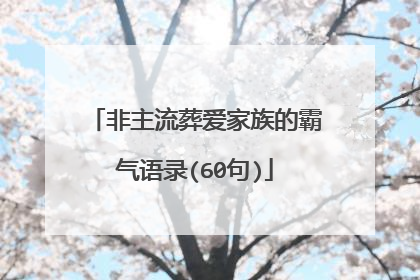 非主流葬爱家族的霸气语录(60句)