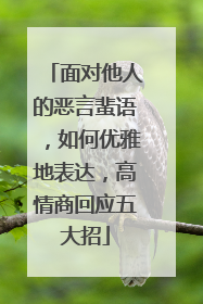 面对他人的恶言蜚语,如何优雅地表达,高情商回应五大招