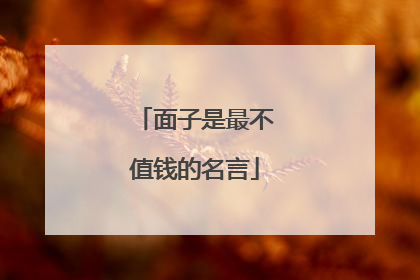 面子是最不值钱的名言