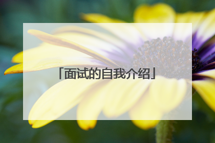 面试的自我介绍