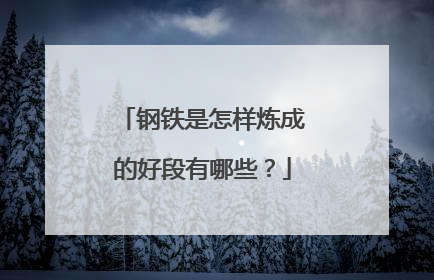 钢铁是怎样炼成的好段有哪些？