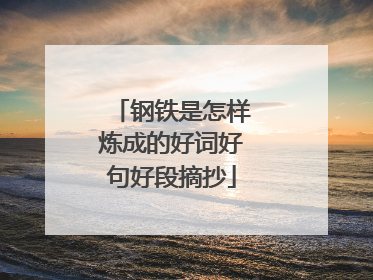 钢铁是怎样炼成的好词好句好段摘抄