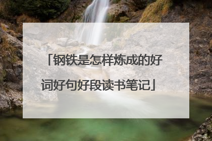 钢铁是怎样炼成的好词好句好段读书笔记