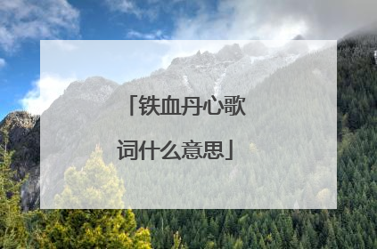 铁血丹心歌词什么意思
