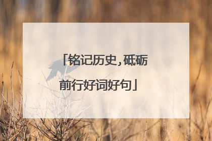 铭记历史,砥砺前行好词好句