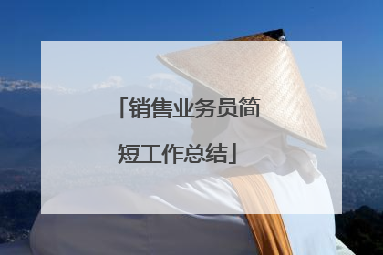 销售业务员简短工作总结
