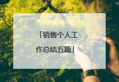 销售个人工作总结五篇