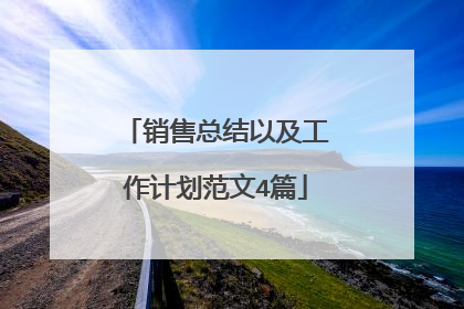 销售总结以及工作计划范文4篇