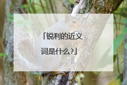 锐利的近义词是什么?