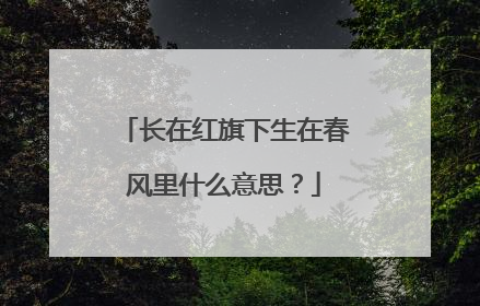 长在红旗下生在春风里什么意思？