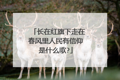 长在红旗下走在春风里人民有信仰是什么歌?