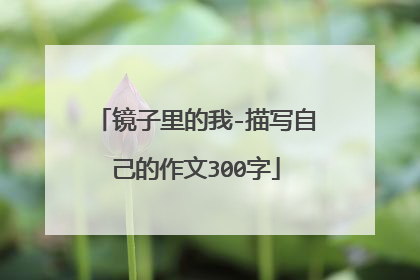 镜子里的我-描写自己的作文300字