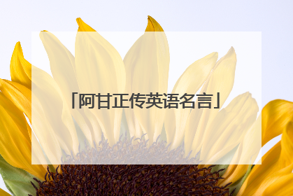 阿甘正传英语名言