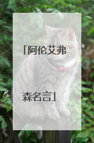 阿伦艾弗森名言