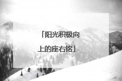 阳光积极向上的座右铭