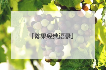 陈果经典语录
