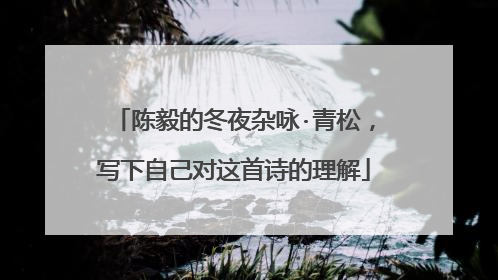 陈毅的冬夜杂咏·青松，写下自己对这首诗的理解
