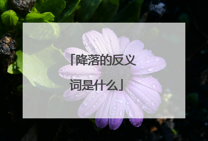 降落的反义词是什么