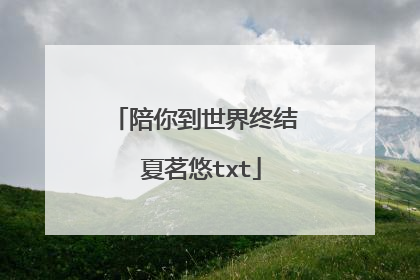 陪你到世界终结 夏茗悠txt