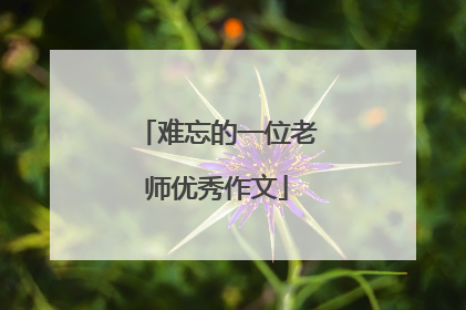 难忘的一位老师优秀作文