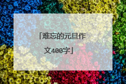 难忘的元旦作文400字