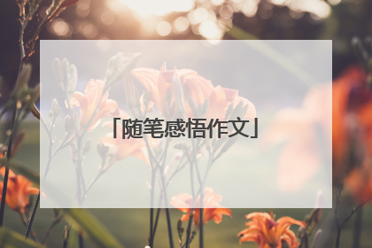 随笔感悟作文