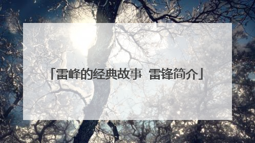 雷峰的经典故事 雷锋简介