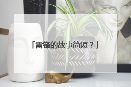 雷锋的故事简短？