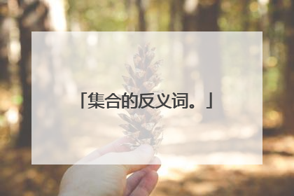 集合的反义词。