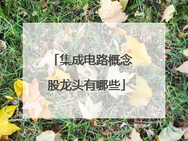 集成电路概念股龙头有哪些