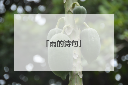 雨的诗句