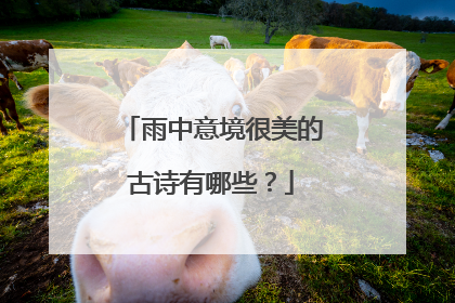 雨中意境很美的古诗有哪些？