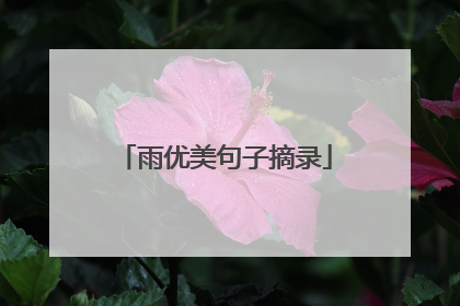 雨优美句子摘录