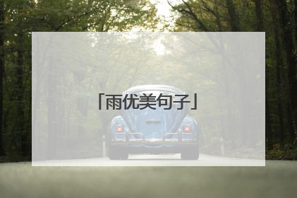 雨优美句子