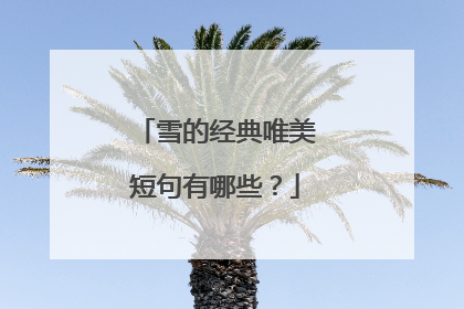 雪的经典唯美短句有哪些?