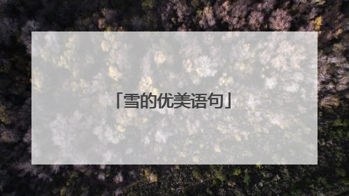雪的优美语句