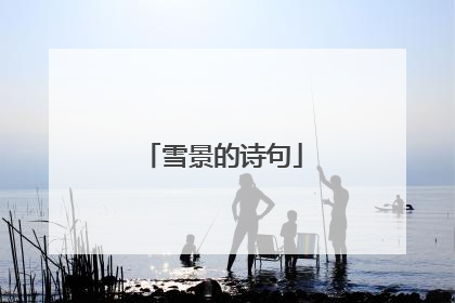 雪景的诗句