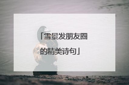 雪景发朋友圈的精美诗句