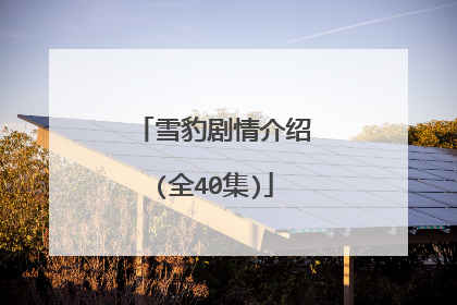 雪豹剧情介绍(全40集)