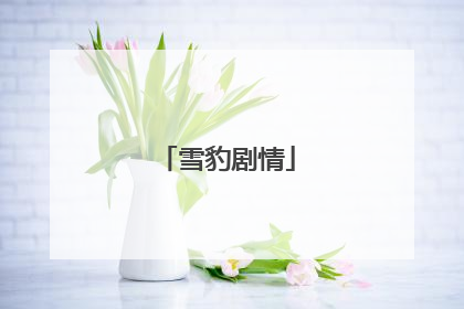 雪豹剧情