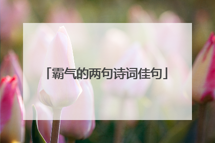 霸气的两句诗词佳句
