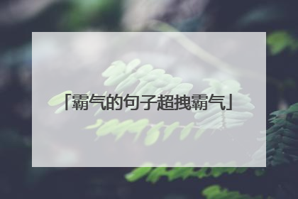 霸气的句子超拽霸气