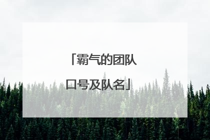 霸气的团队口号及队名