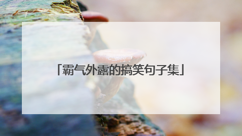 霸气外露的搞笑句子集