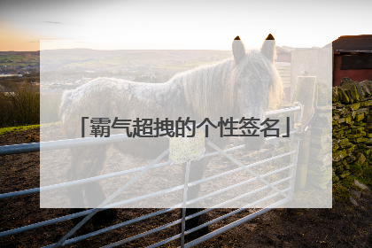 霸气超拽的个性签名