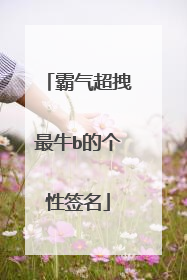 霸气超拽最牛b的个性签名