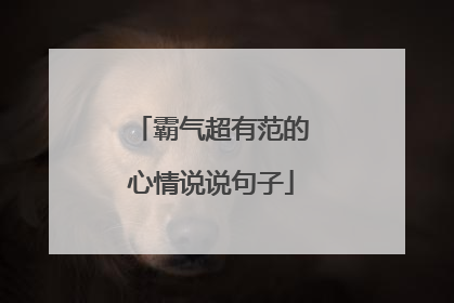 霸气超有范的心情说说句子
