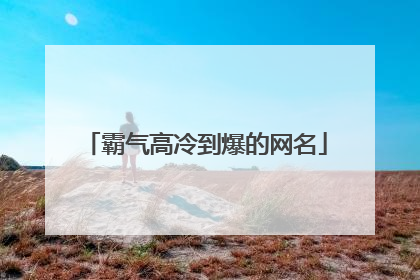 霸气高冷到爆的网名