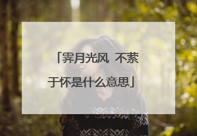 霁月光风 不萦于怀是什么意思